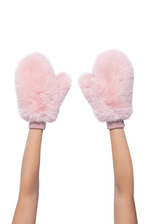 ALL ABOUT THE MONEY FUR MITTENS For Sale